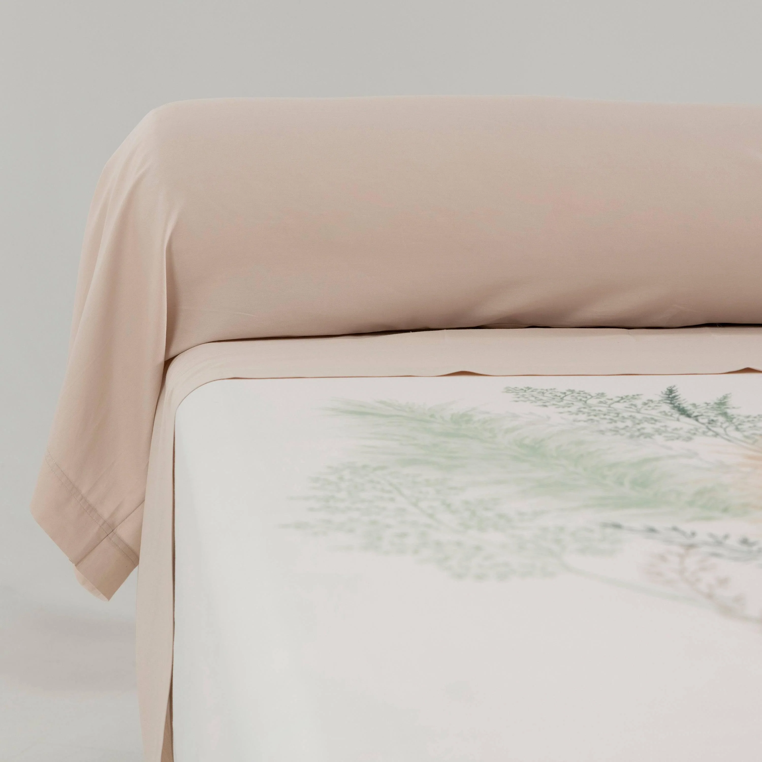 Flatsheet in Cotton Satin Pampa II - Image 4